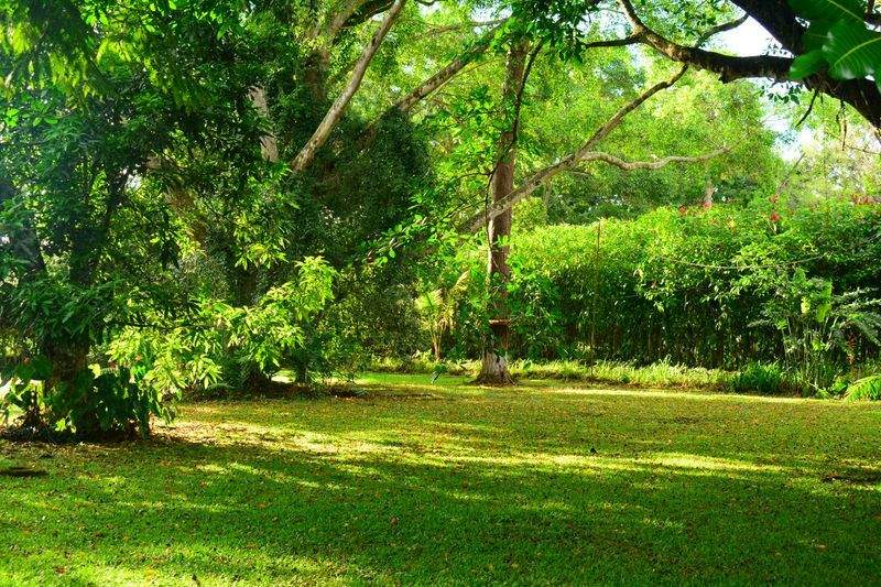 Irrigation system installation and maintenance